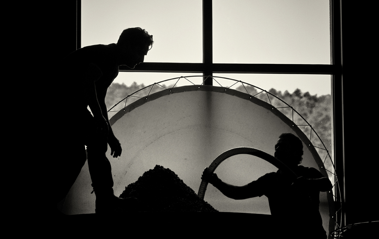 La vinification au domaine Denis Mortet