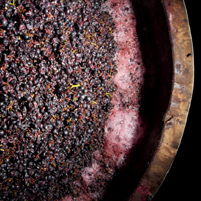pressage raisin vin