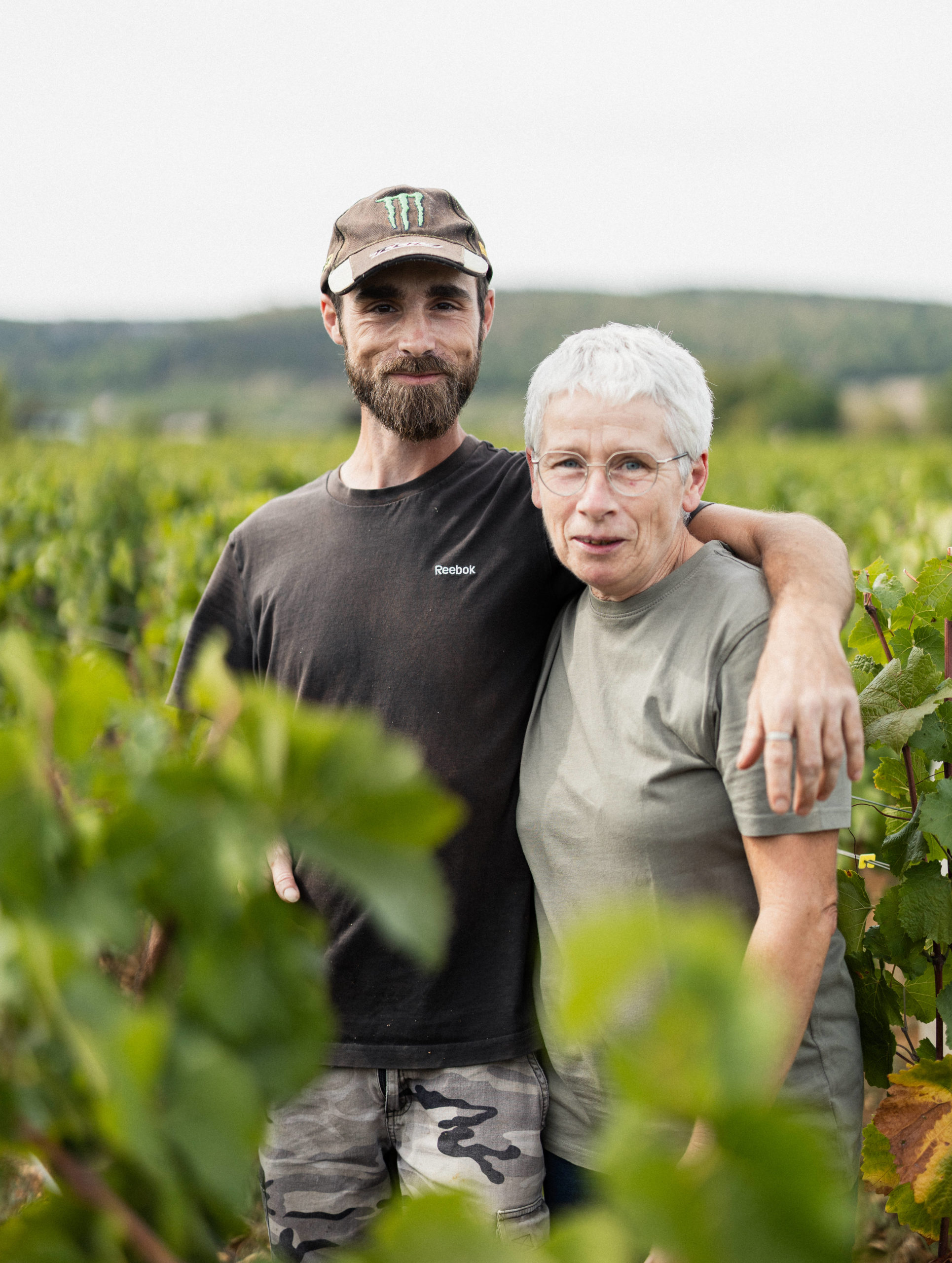 Vendanges 2026 - Domaine Denis Mortet