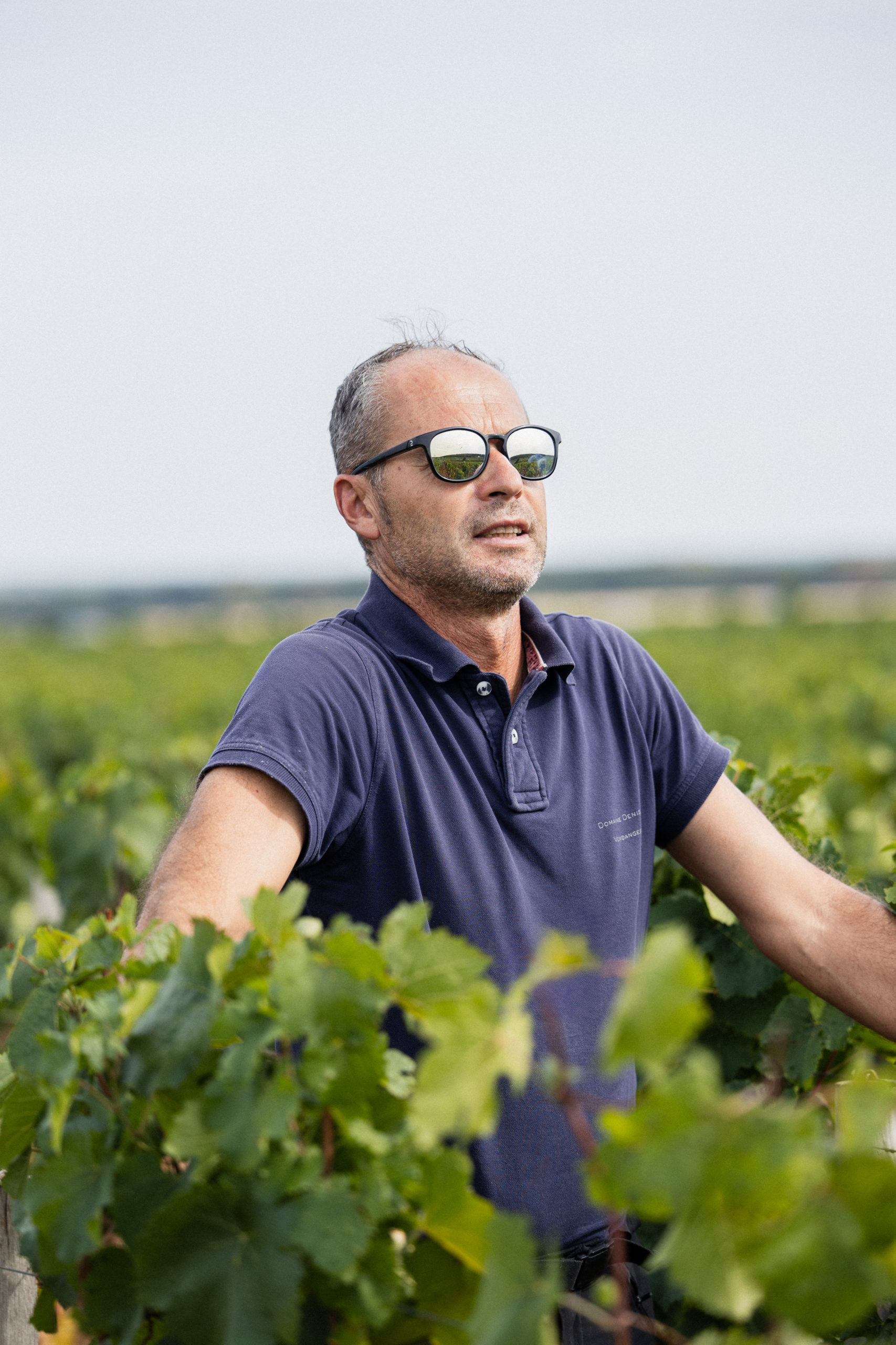 Vendanges 2026 - Domaine Denis Mortet